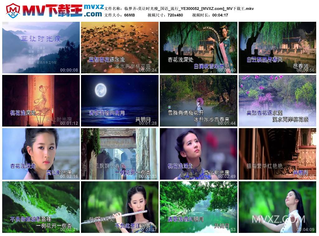 临梦齐-莫让时光瘦_国语_流行_YE300052